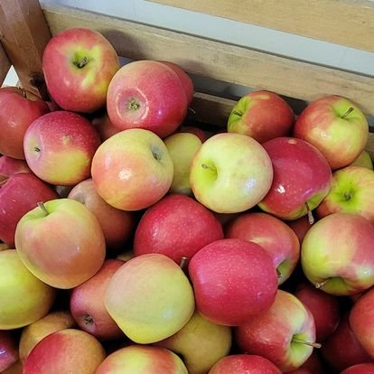 A wooden crate filled with a variety of fresh, red and green apples, showcasing their vibrant colors and natural shine.