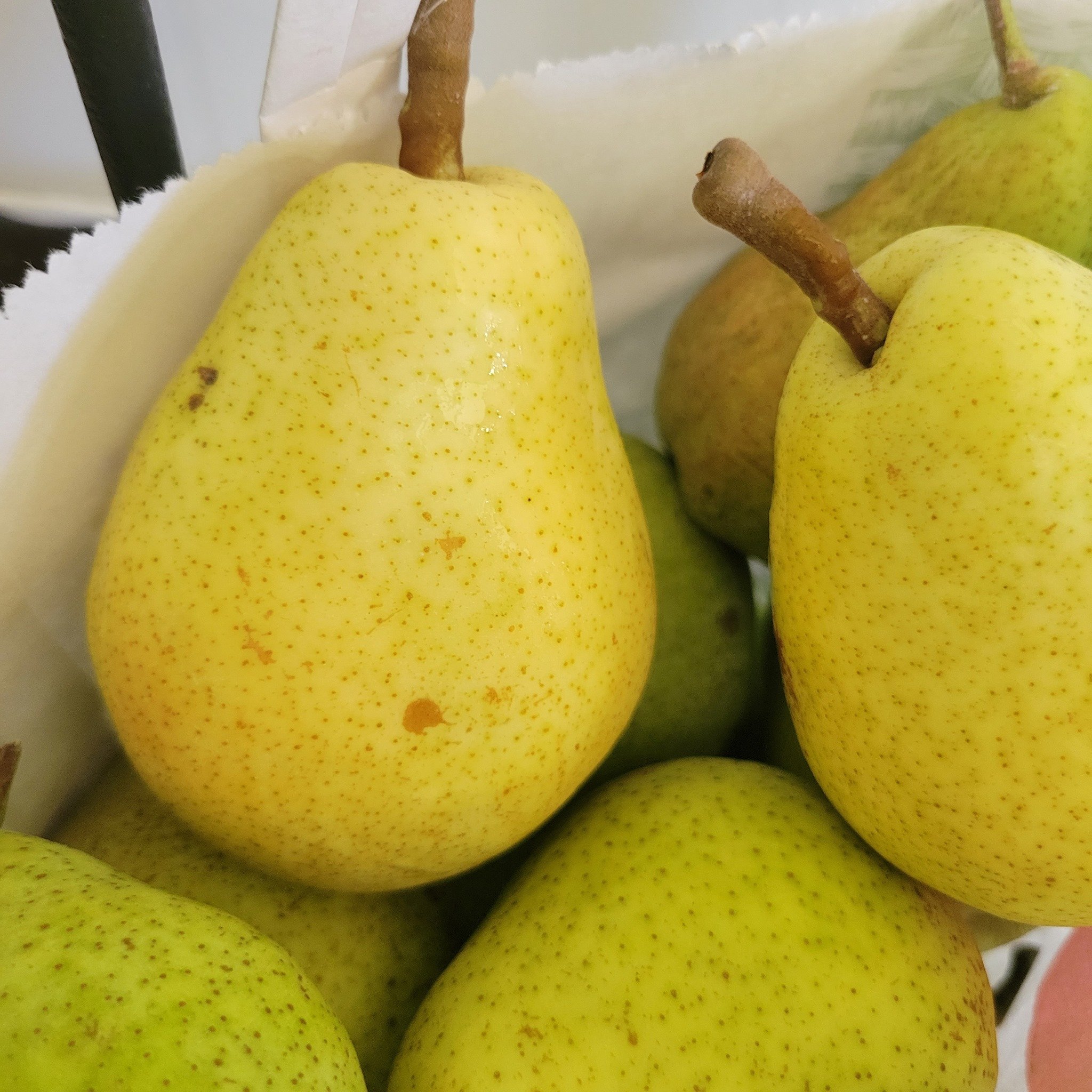 Fresh yellow pears with speckled skin, showcasing their ripe texture and natural sweetness, arranged in a basket. Ideal for healthy snacking and culinary uses.