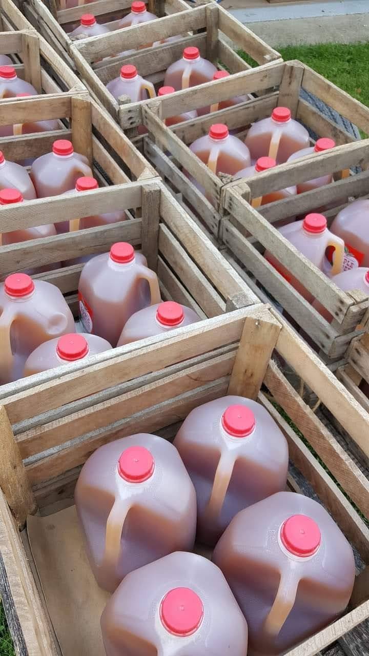 Crates filled with gallon jugs of brown liquid, likely apple cider, arranged neatly for sale or distribution in a farm setting.