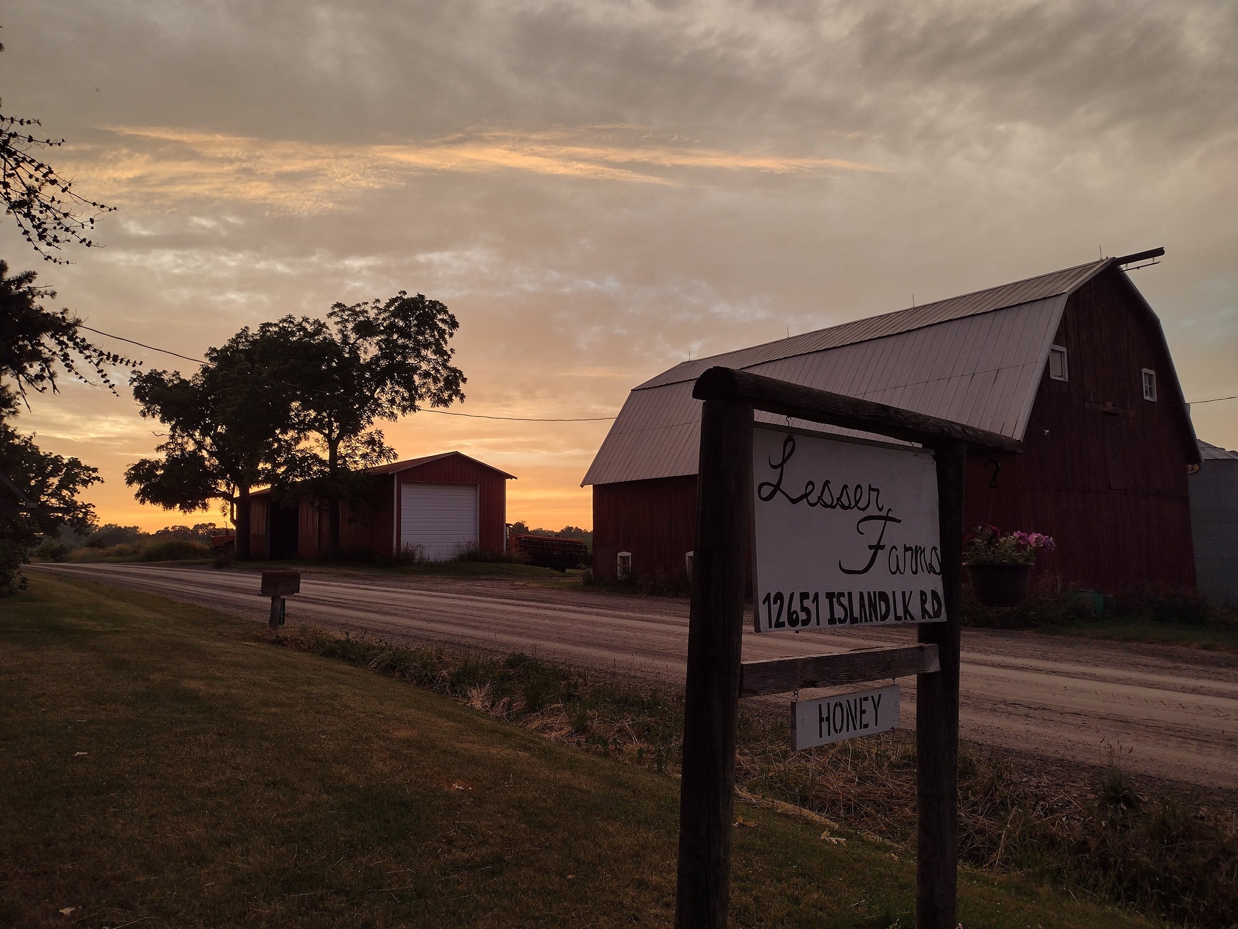 Sunset view of Lesser Farms, showcasing a red barn and a sign indicating the address at 12651 Island Lake Road. The gravel road is lined with grass, and the sky is filled with warm hues as the day ends.